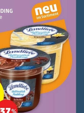 PENNY Pudding Angebot