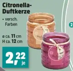 Thomas Philipps Citronella Duftkerze Angebot