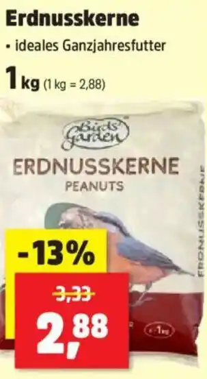 Thomas Philipps Erdnusskerne Angebot