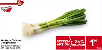 Billa Da komm' ich her! Jungzwiebel Angebot