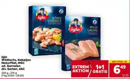 Billa Iglo Wildlachs, Kabeljau Naturfilet, MSC od. Garnelen div. Sorten, ASC Angebot