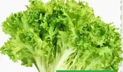 ETSAN Salat Grazer Angebot