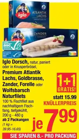 Maximarkt Iglo Iglo Dorsch,Premium Atlantik Lachs, Goldbrasse, Zander, Forelle oder Wolfsbarsch Naturfilets Angebot