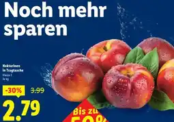 Lidl Nektarinen Angebot