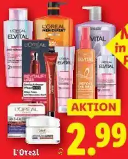 Lidl L'Oreal Angebot