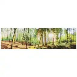 XXXLutz Acrylglasbild 50/180/1,70 cm Angebot