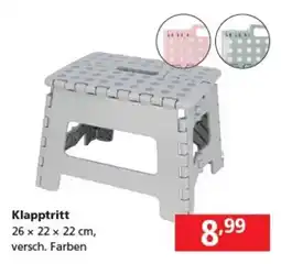 Pagro Diskont Klapptritt Angebot