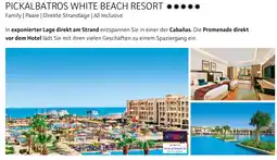 Alltours Pickalbatros white beach resort Angebot