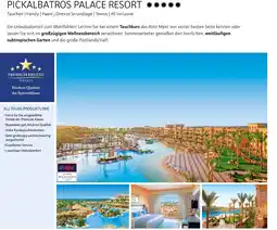 Alltours Pickalbatros palace resort Angebot