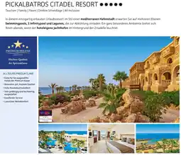 Alltours Pickalbatros citadel resort Angebot
