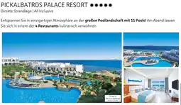 Alltours Pickalbatros palace resort Angebot