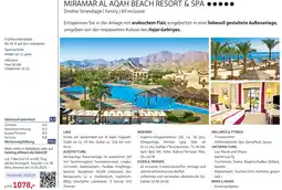Alltours Miramar Al Aqah Beach Resort & Spa Angebot