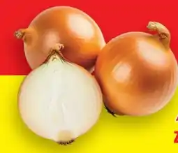 Lidl Zwiebeln Angebot