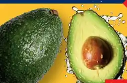 Lidl Avocados Angebot