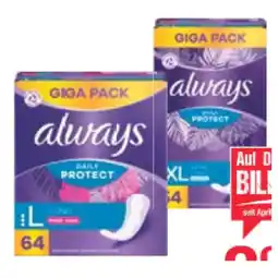 Maximarkt Slipeinlagen Giga Pack versch. Sorten Maximarkt Angebot