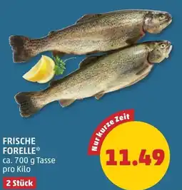 PENNY Frische forelle Angebot