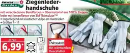 Norma Ziegenleder handschuhe Angebot