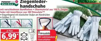 Norma Ziegenleder handschuhe Angebot