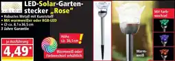 Norma LED-Solar-Gartenstecker,,Rose Angebot