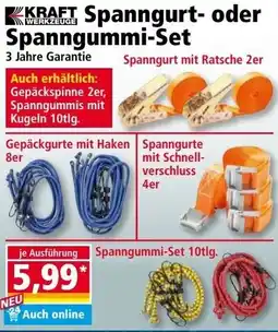 Norma KRAFT Spanngurt- oder Spanngummi-Set Angebot