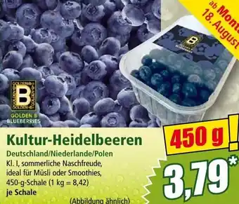 Norma Kultur-Heidelbeeren Angebot