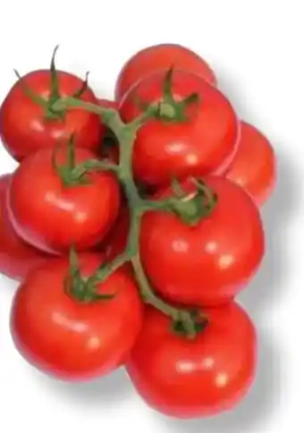 MPreis Cherrytomaten Angebot