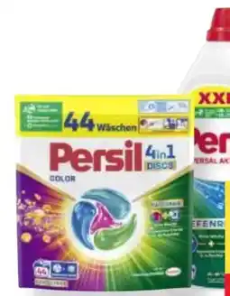 MPreis Persil Waschmittel Angebot