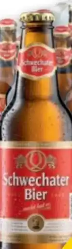PENNY Schwechater Bier Angebot