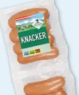 PENNY Greisinger Knacker Angebot