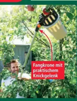 Norma Powertec Garden Teleskop-Obstpflücker Angebot