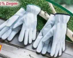 Norma Powertec Garden Ziegenleder-Handschuhe Angebot