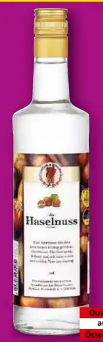 Norma Gautier Mückstein die Haselnuss Angebot