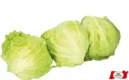 Transgourmet Eisbergsalat Angebot