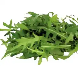 Transgourmet Rucola Angebot