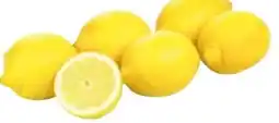 Transgourmet Natürlich für uns Bio Zitronen Angebot