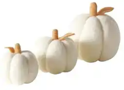 Transgourmet Aufsteller Tikva Kürbis Angebot