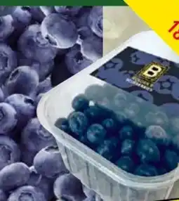 Norma Golden B Blueberries Premium Kultur-Heidelbeeren Angebot