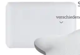 XXXLutz Sleeptex Nackenkissen Brachetto Angebot