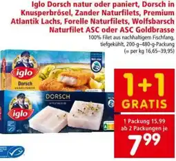 Interspar Iglo Dorsch Angebot