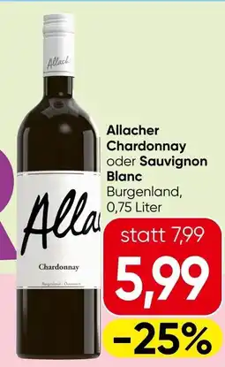 Spar Allacher Chardonnay Angebot