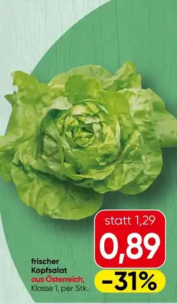 Spar Frischer Kopfsalat SPAR Angebot