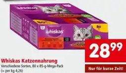 Interspar Whiskas Katzennahrung Angebot