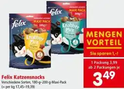 Interspar Felix Katzensnacks Angebot