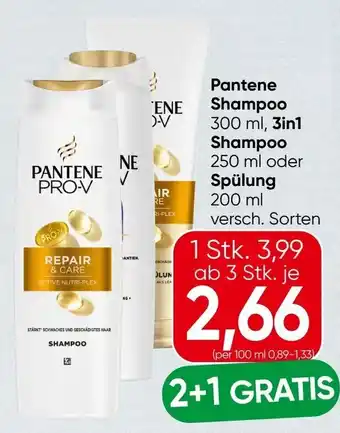 Spar Pantene Shampoo Angebot