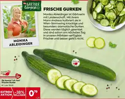 Billa Da komm ich her frische Gurke Angebot
