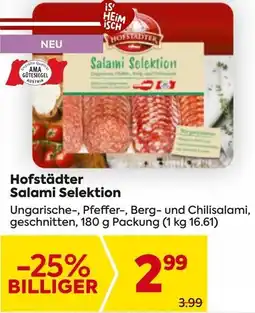Billa Hofstädter Salami Selektion Angebot