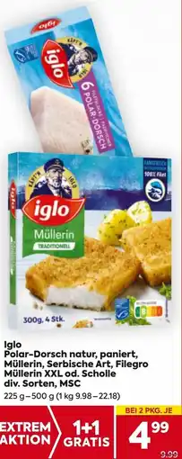 Billa Iglo Polar-Dorsch natur, paniert, Müllerin, Serbische Art, Filegro Müllerin XXL od. Scholle Angebot