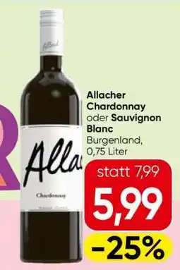 Spar Allacher Chardonnay oder Sauvignon Blanc Angebot