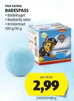 Hofer PAW PATROL BADESPASS Angebot
