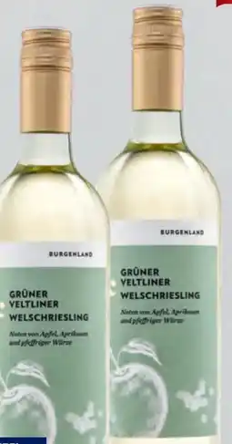 Hofer Gruner Veltliner Welschriesling Angebot
